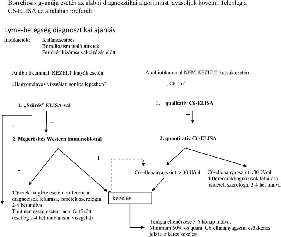 esetén Hagyományos vizsgálati sor két lépésben Antibiotikummal NEM KEZELT kutyák esetén C6-sor - 1. Szűrés ELISA-val + 1. qualitatív C6-ELISA + 2. Megerősítés Western immunoblottal 2.
