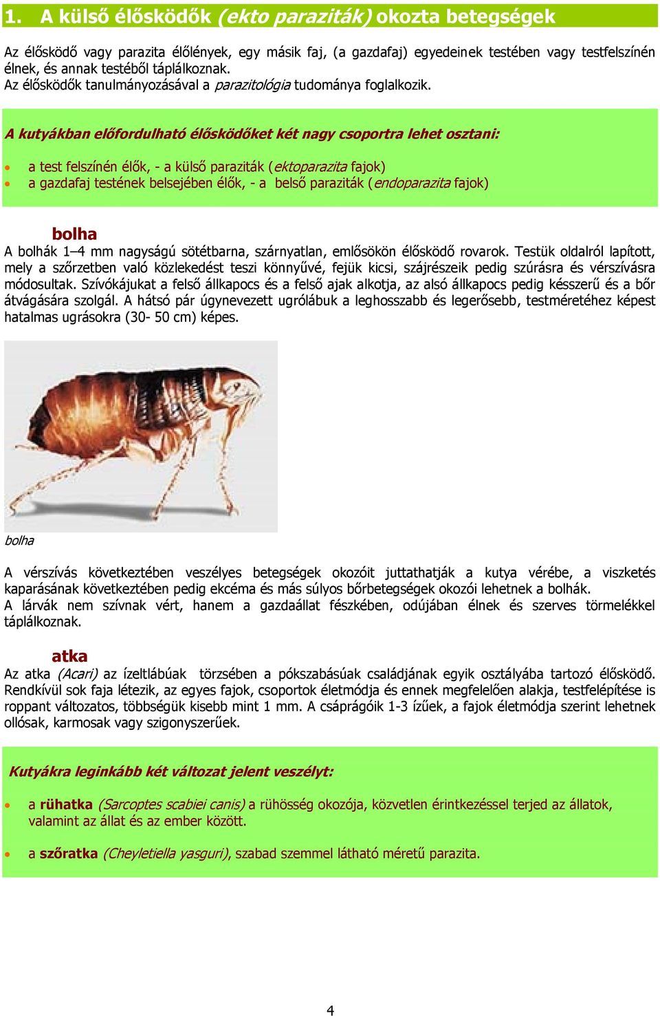 A kutyákban előfordulható élősködőket két nagy csoportra lehet osztani: a test felszínén élők, - a külső paraziták (ektoparazita fajok) a gazdafaj testének belsejében élők, - a belső paraziták