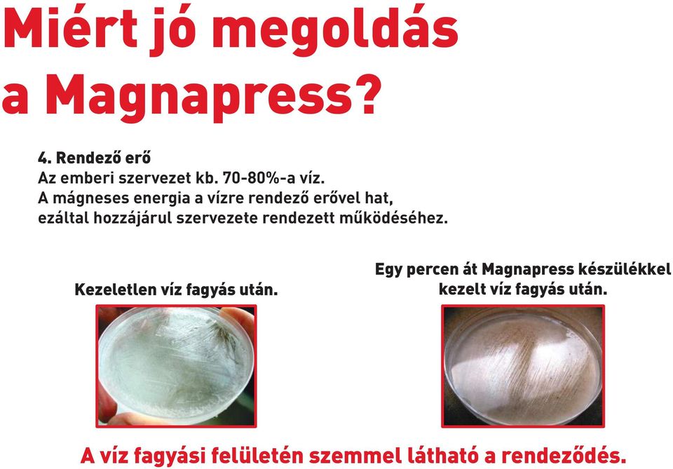 A mágneses energia a vízre rendező erővel hat, ezáltal hozzájárul szervezete