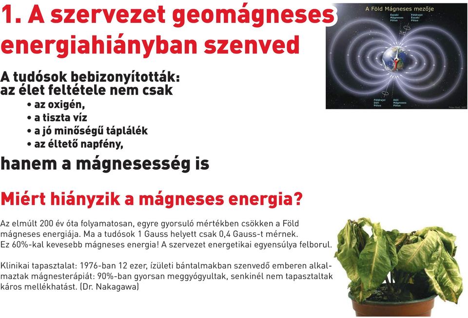 Ma a tudósok 1 Gauss helyett csak 0,4 Gauss-t mérnek. Ez 60%-kal kevesebb mágneses energia! A szervezet energetikai egyensúlya felborul.