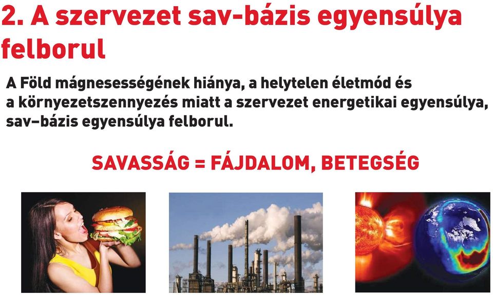 környezetszennyezés miatt a szervezet energetikai