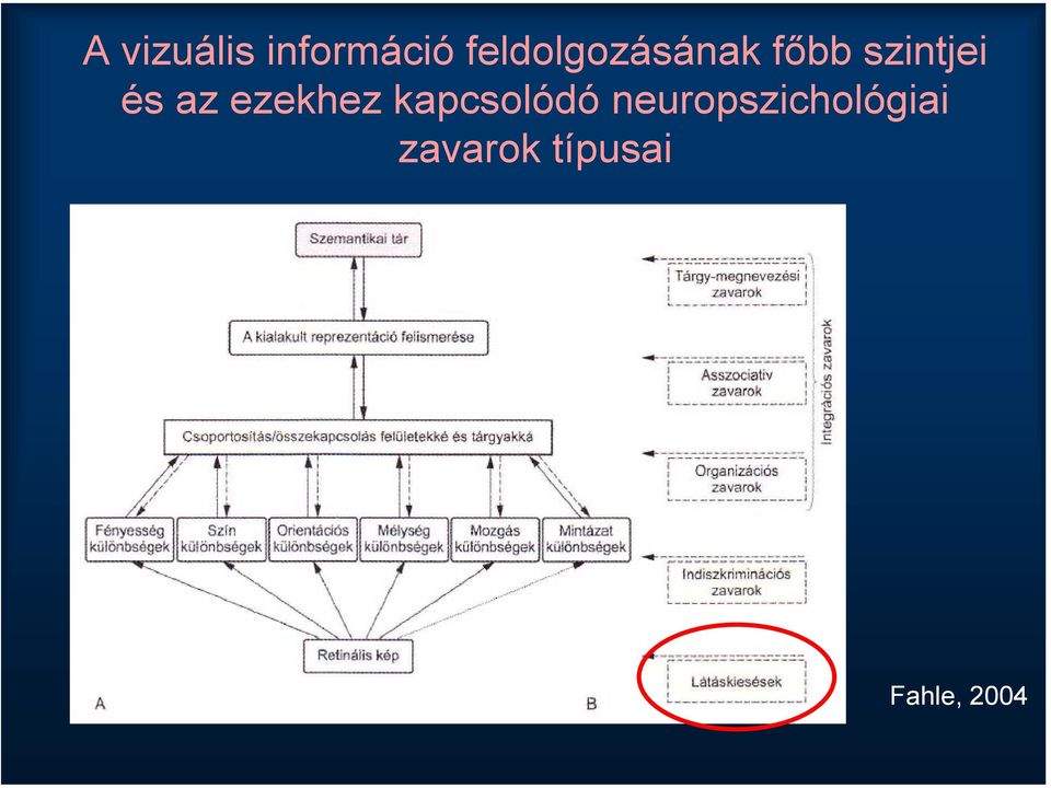 és az ezekhez kapcsolódó