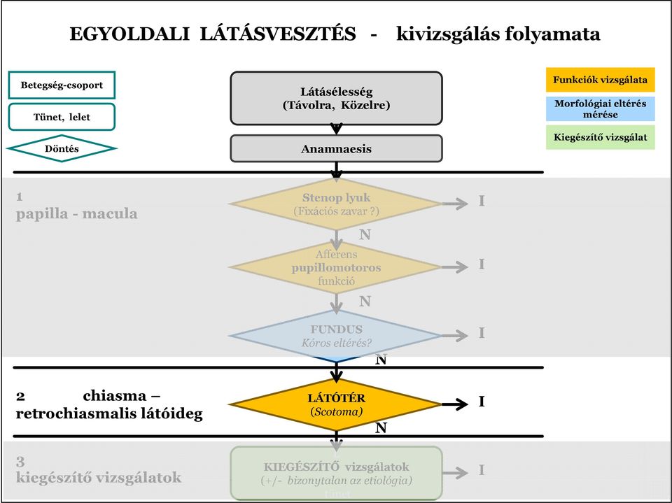 lyuk (Fixációs zavar?) N Afferens pupillomotoros funkció N FUNDUS Kóros eltérés?