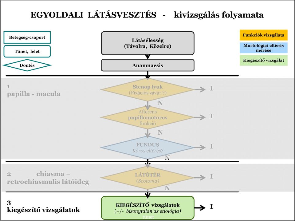 lyuk (Fixációs zavar?) N Afferens pupillomotoros funkció N FUNDUS Kóros eltérés?