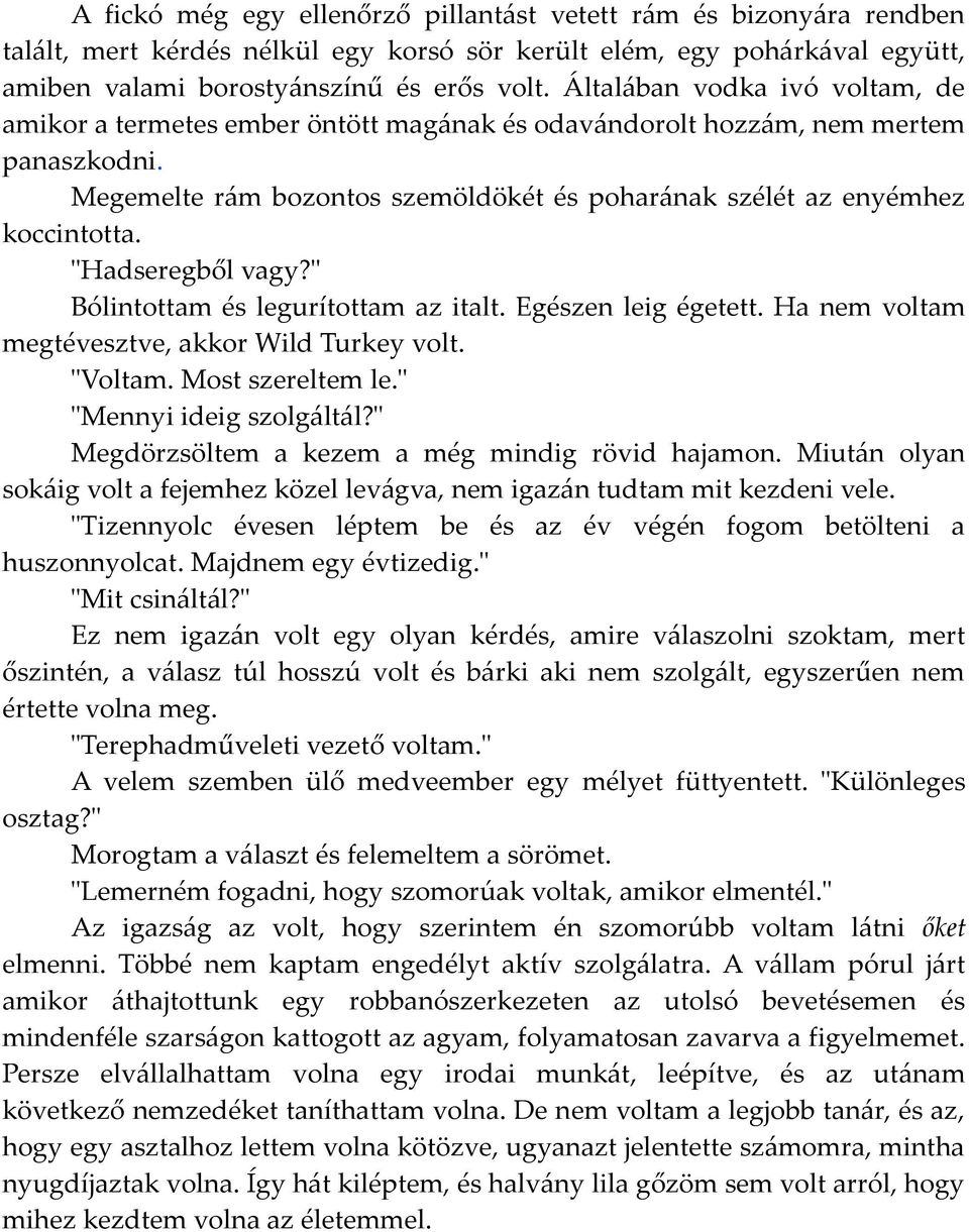 "Hadseregből vagy?" Bólintottam és legurítottam az italt. Egészen leig égetett. Ha nem voltam megtévesztve, akkor Wild Turkey volt. "Voltam. Most szereltem le." "Mennyi ideig szolgáltál?
