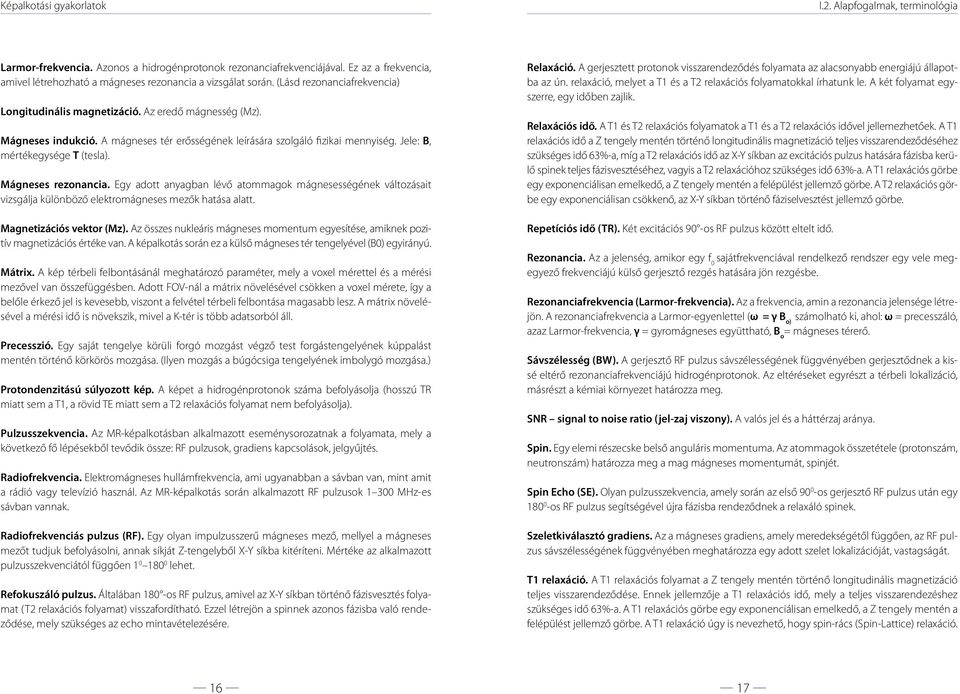 Mágneses rezonancia. Egy adott anyagban lévő atommagok mágnesességének változásait vizsgálja különböző elektromágneses mezők hatása alatt. Magnetizációs vektor (Mz).