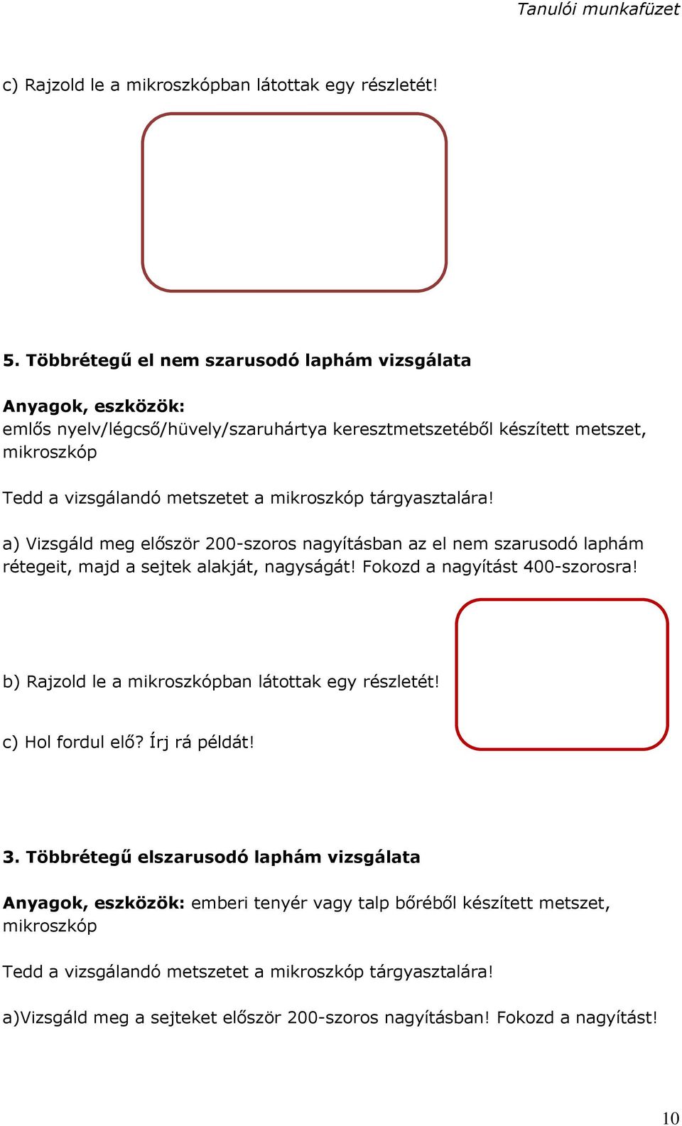 mikroszkóp tárgyasztalára! a) Vizsgáld meg először 200-szoros nagyításban az el nem szarusodó laphám rétegeit, majd a sejtek alakját, nagyságát! Fokozd a nagyítást 400-szorosra!