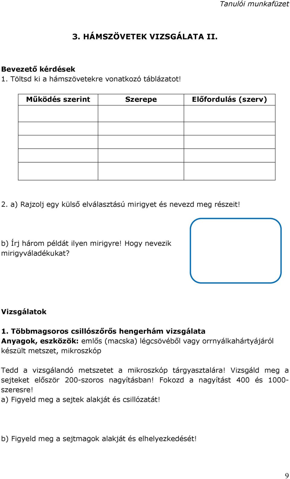 Többmagsoros csillószőrős hengerhám vizsgálata Anyagok, eszközök: emlős (macska) légcsövéből vagy orrnyálkahártyájáról készült metszet, mikroszkóp Tedd a vizsgálandó metszetet