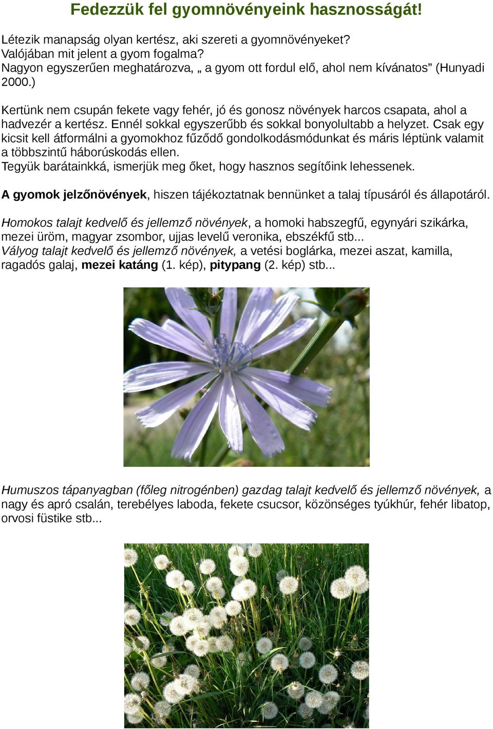 Ennél sokkal egyszerűbb és sokkal bonyolultabb a helyzet. Csak egy kicsit kell átformálni a gyomokhoz fűződő gondolkodásmódunkat és máris léptünk valamit a többszintű háborúskodás ellen.