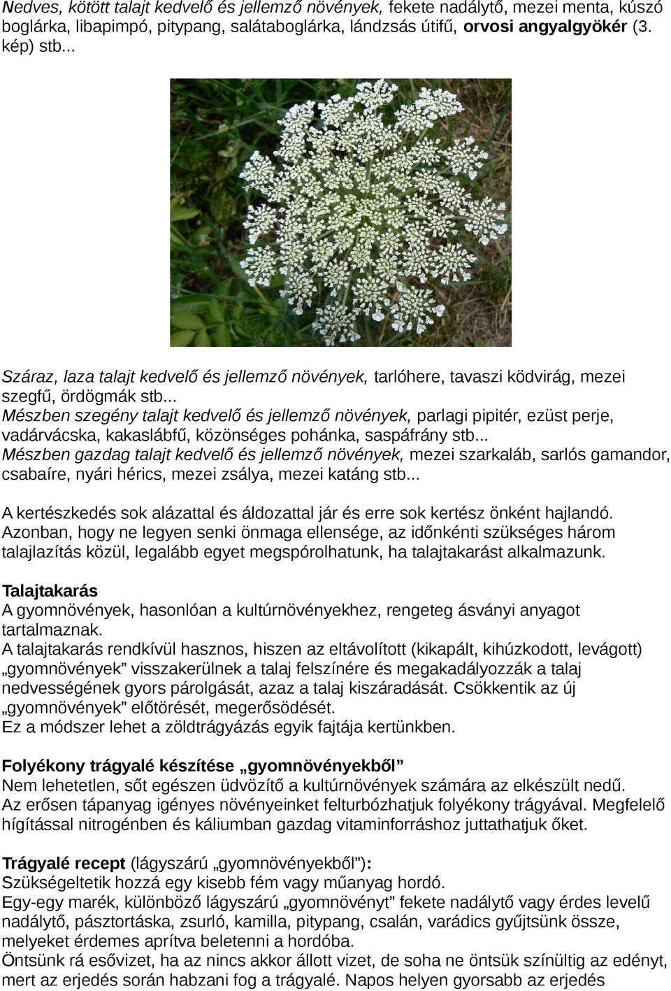 .. Mészben szegény talajt kedvelő és jellemző növények, parlagi pipitér, ezüst perje, vadárvácska, kakaslábfű, közönséges pohánka, saspáfrány stb.