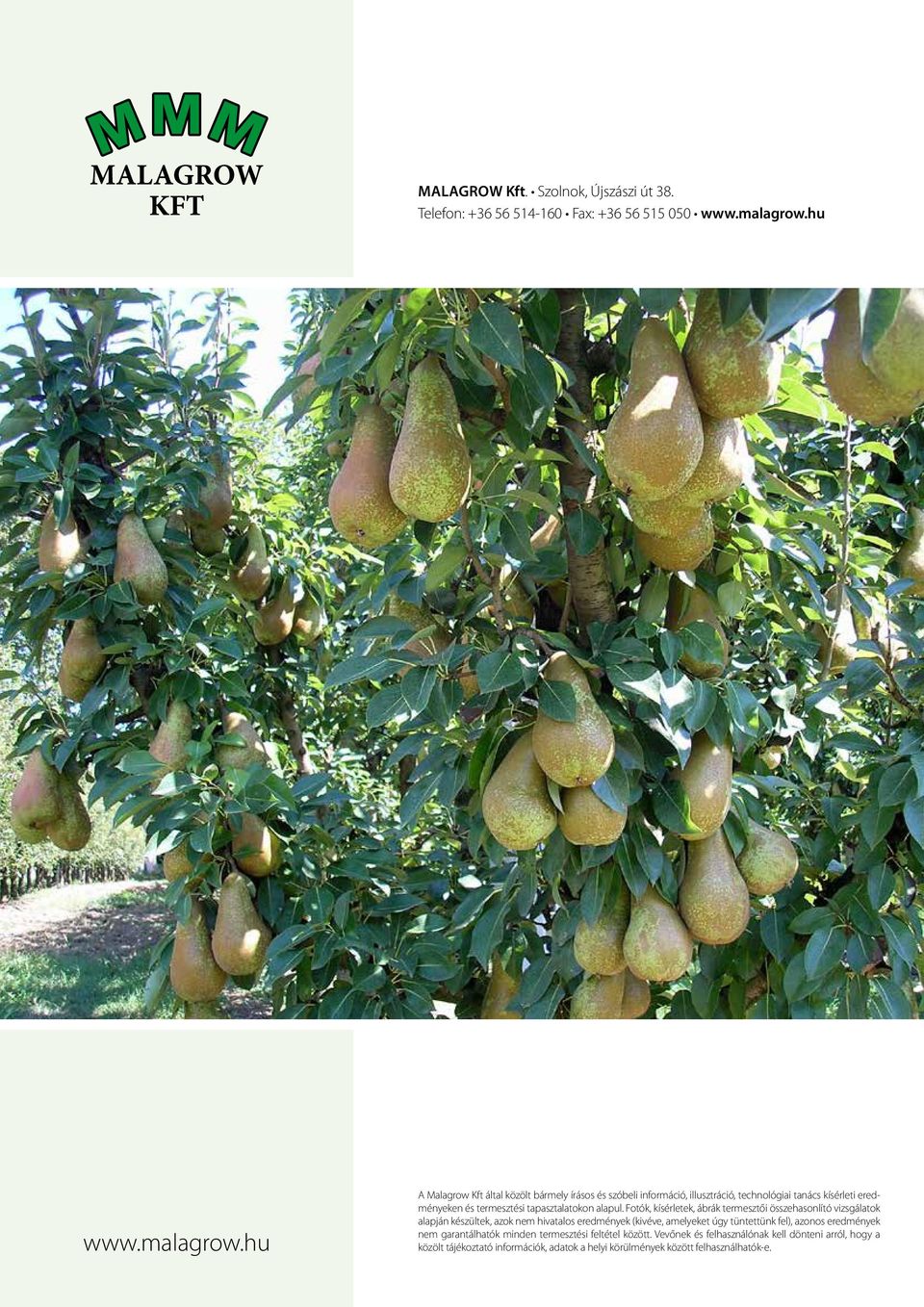hu A Malagrow Kft által közölt bármely írásos és szóbeli információ, illusztráció, technológiai tanács kísérleti eredményeken és termesztési tapasztalatokon