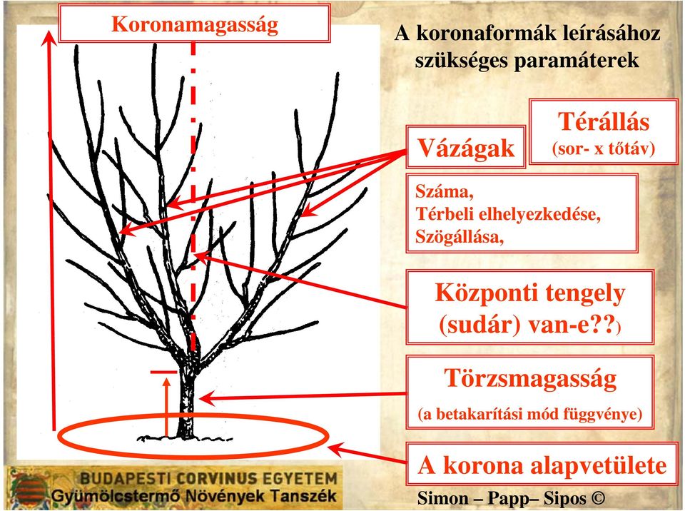 elhelyezkedése, Szögállása, Központi tengely (sudár) van-e?