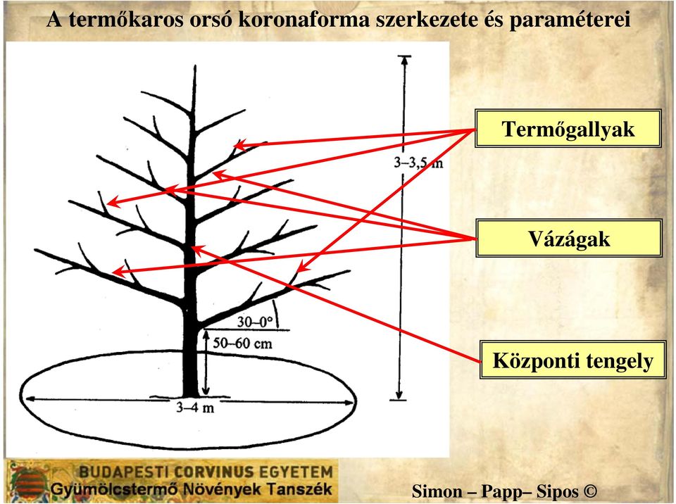 és paraméterei