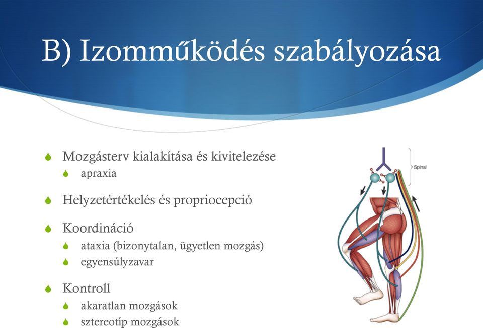 Koordináció ataxia (bizonytalan, ügyetlen mozgás)