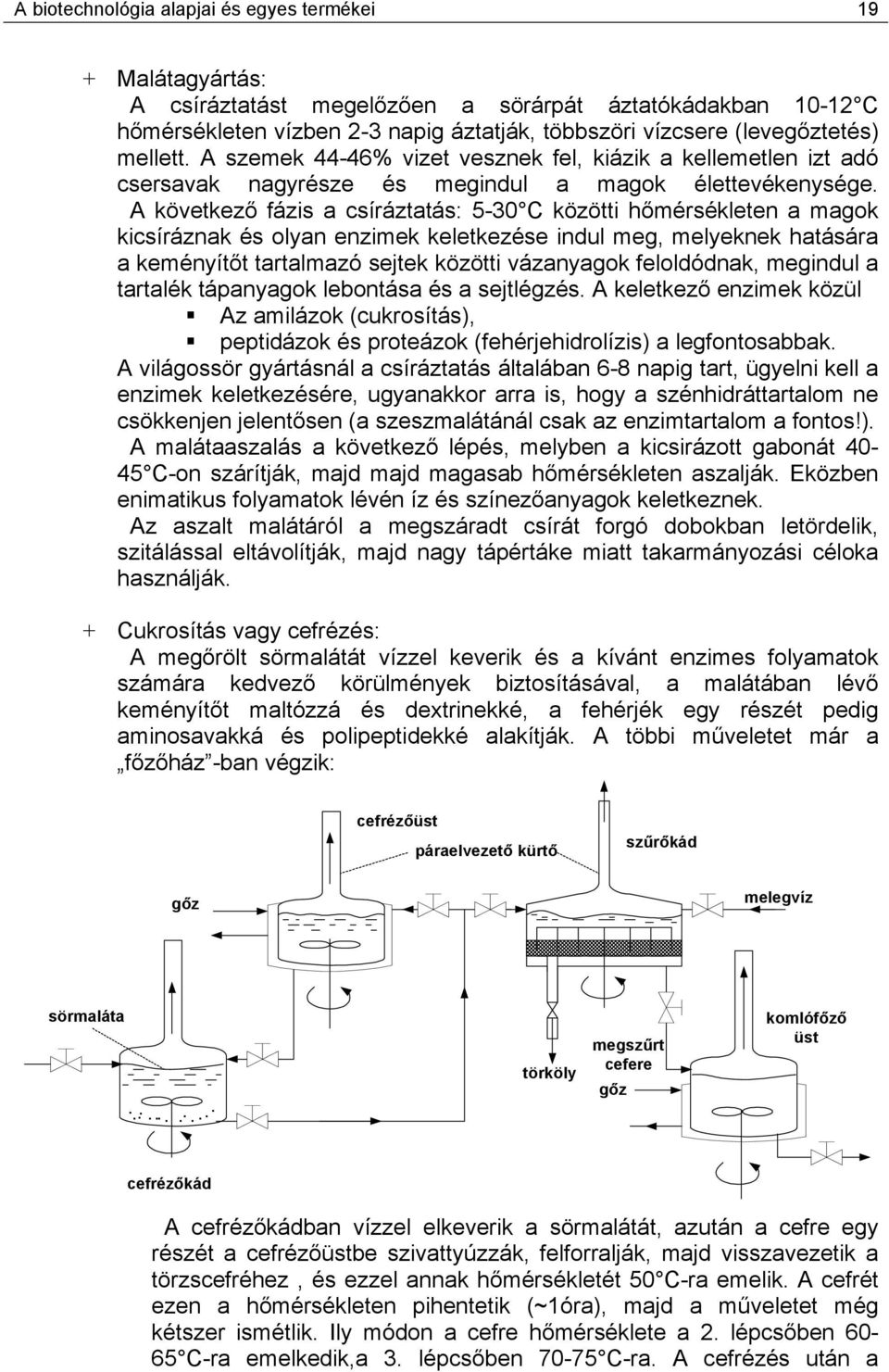 A következő fázis a csíráztatás: 5-30 közötti hőmérsékleten a magok kicsíráznak és olyan enzimek keletkezése indul meg, melyeknek hatására a keményítőt tartalmazó sejtek közötti vázanyagok