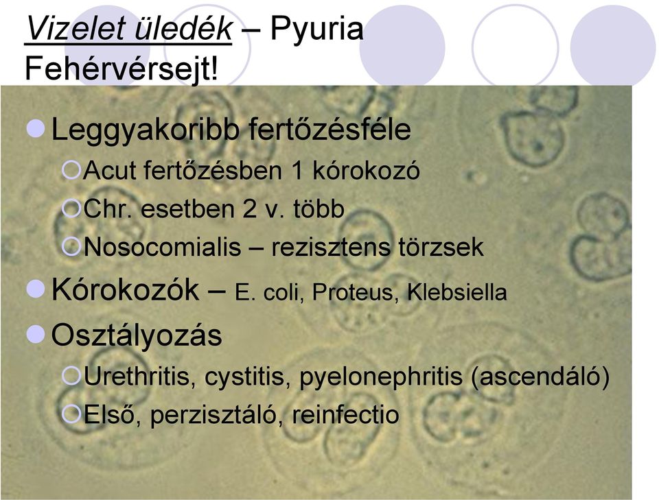 esetben 2 v. több Nosocomialis rezisztens törzsek Kórokozók E.