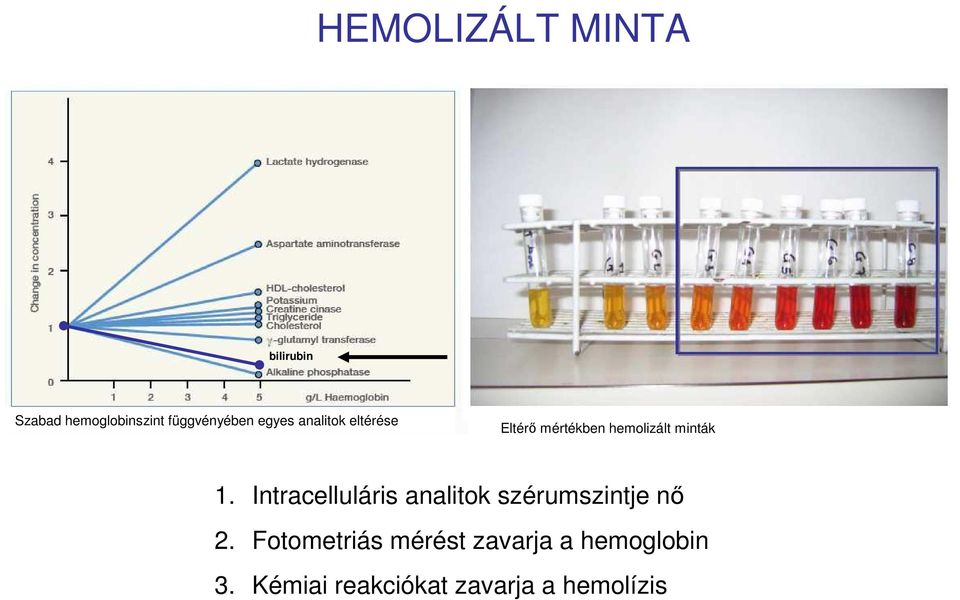 Intracelluláris analitok szérumszintje nő 2.