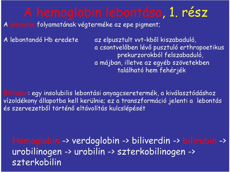 erthropoetikus prekurzorokból felszabaduló, a májban, illetve az egyéb szövetekben található hem fehérjék Bilirubin: egy insolubilis lebontási