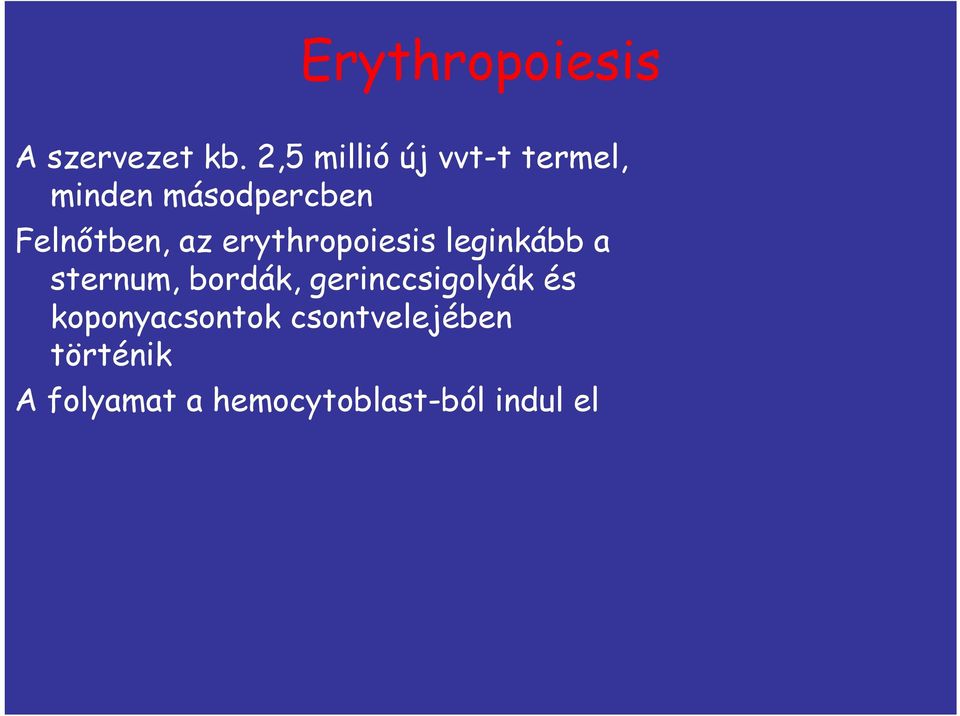 az erythropoiesis leginkább a sternum, bordák,