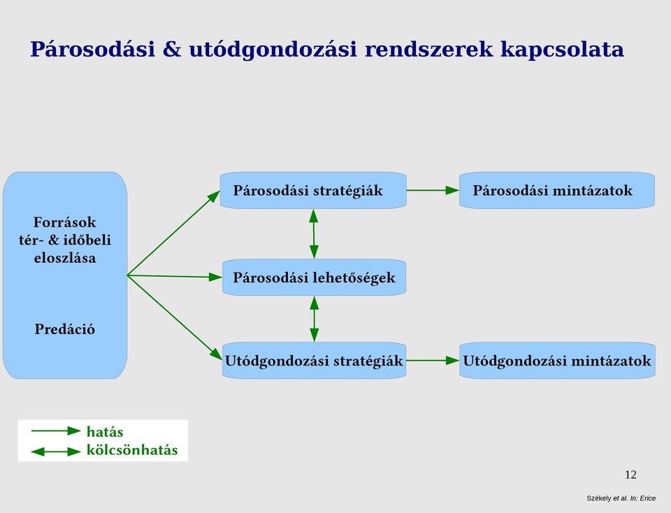 eloszlása Párosodási lehetőségek Predáció Utódgondozási