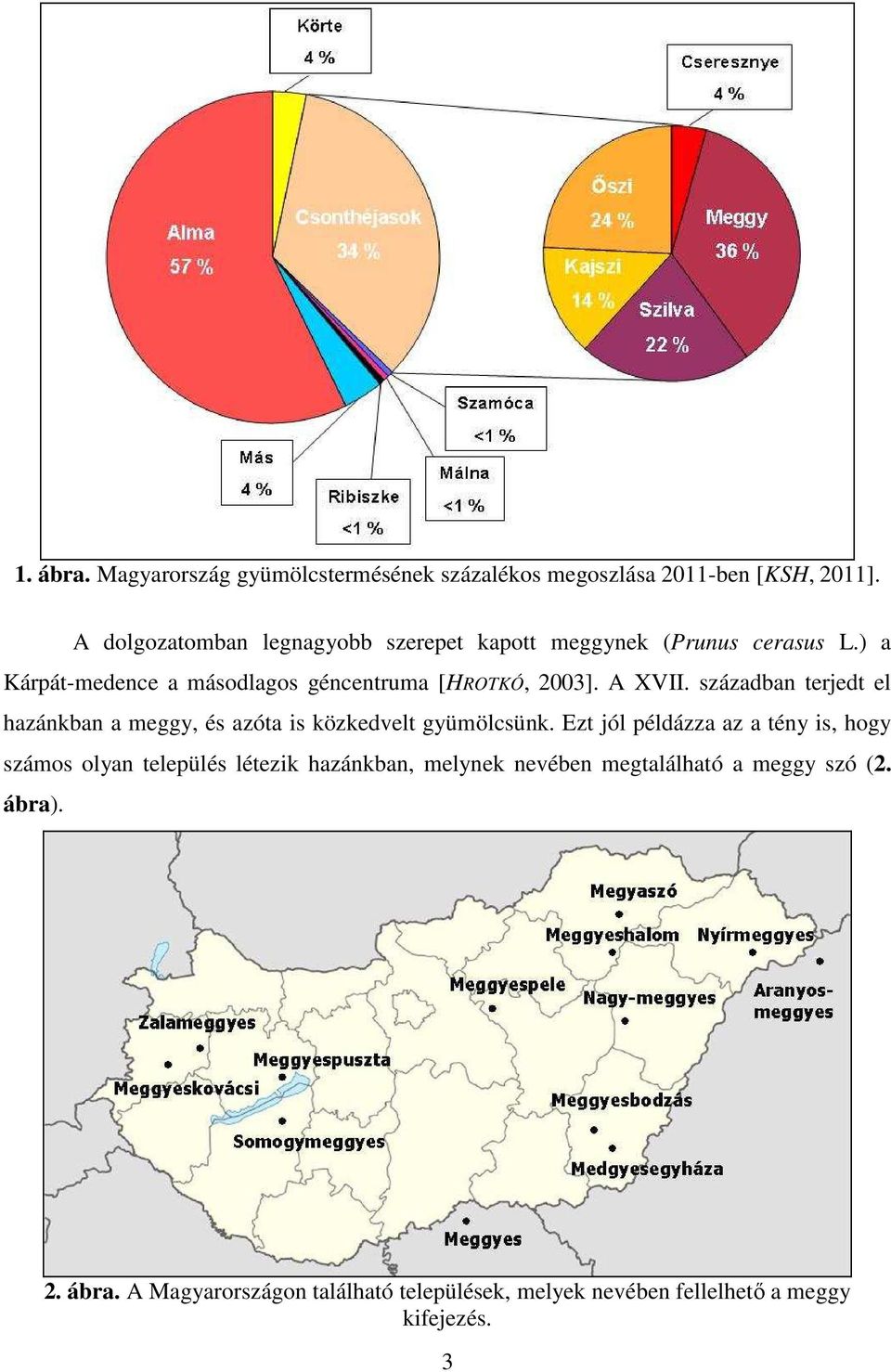 A XVII. században terjedt el hazánkban a meggy, és azóta is közkedvelt gyümölcsünk.
