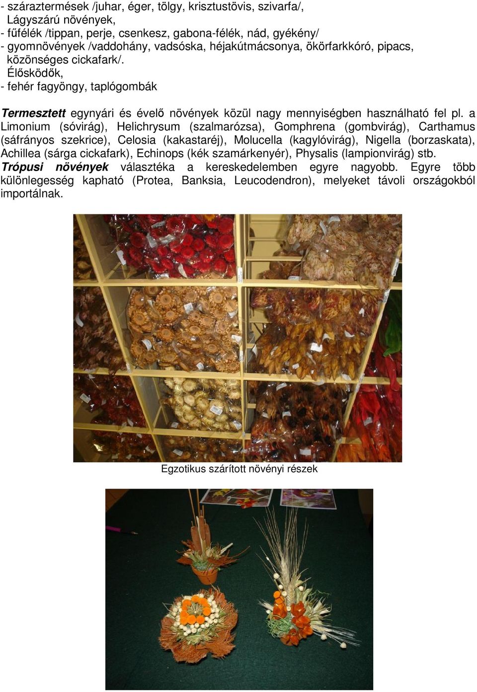 a Limonium (sóvirág), Helichrysum (szalmarózsa), Gomphrena (gombvirág), Carthamus (sáfrányos szekrice), Celosia (kakastaréj), Molucella (kagylóvirág), Nigella (borzaskata), Achillea (sárga