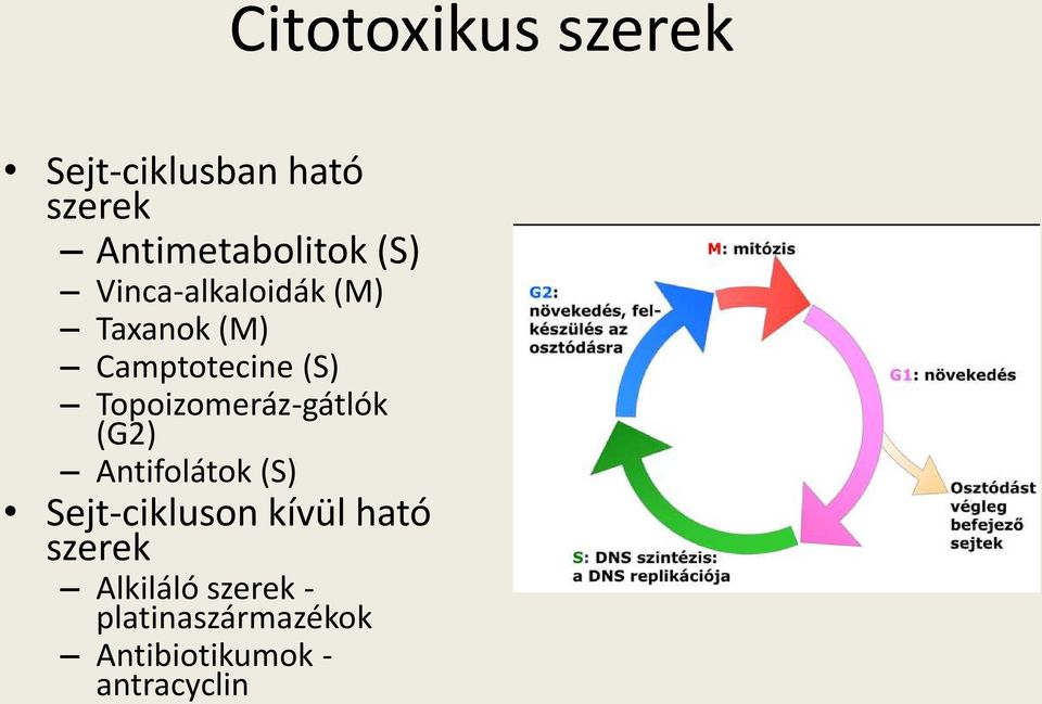 Antifolátok (S) Sejt-cikluson kívül ható szerek Alkiláló szerek