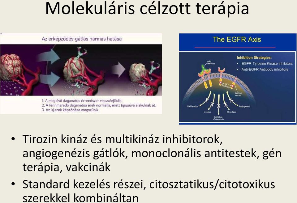 monoclonális antitestek, gén terápia, vakcinák