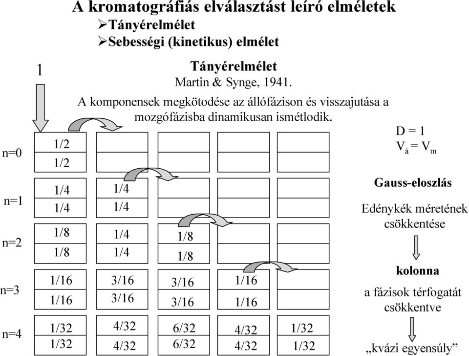 A komponensek megkötodése az állófázison és visszajutása a mozgófázisba dinamikusan ismétlodik.