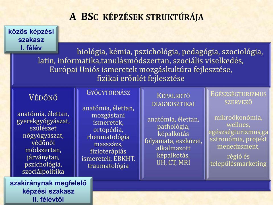 fizikai erőnlét fejlesztése VÉDŐNŐ anatómia, élettan, gyerekgyógyászat, szülészet nőgyógyászat, védőnői módszertan, járványtan, pszichológia, szociálpolitika GYÓGYTORNÁSZ anatómia, élettan,