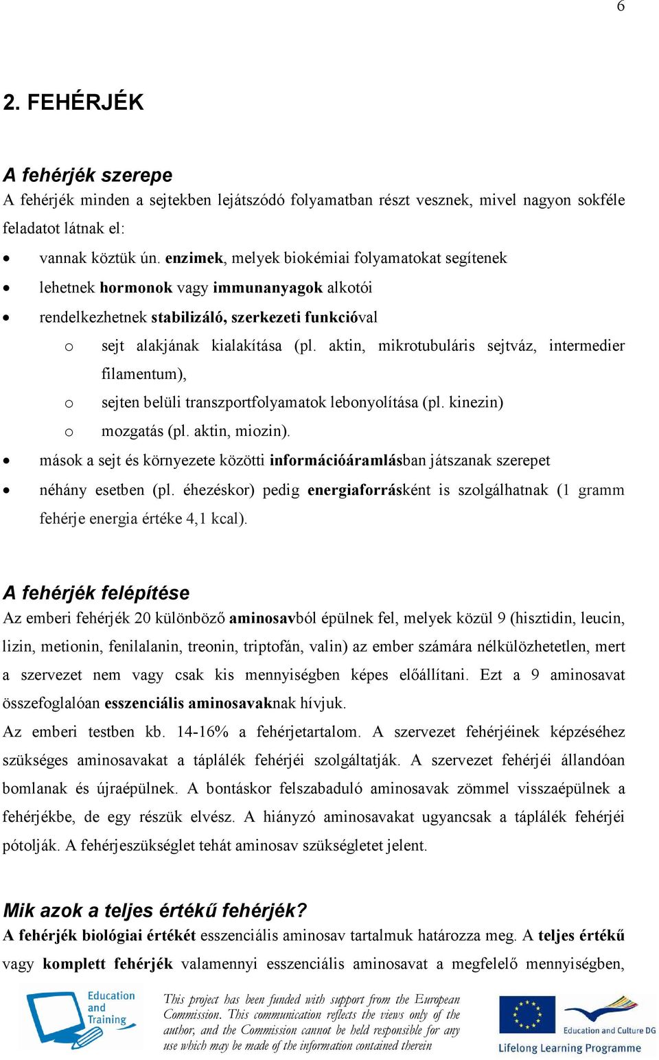 aktin, mikrotubuláris sejtváz, intermedier filamentum), sejten belüli transzportfolyamatok lebonyolítása (pl. kinezin) mozgatás (pl. aktin, miozin).