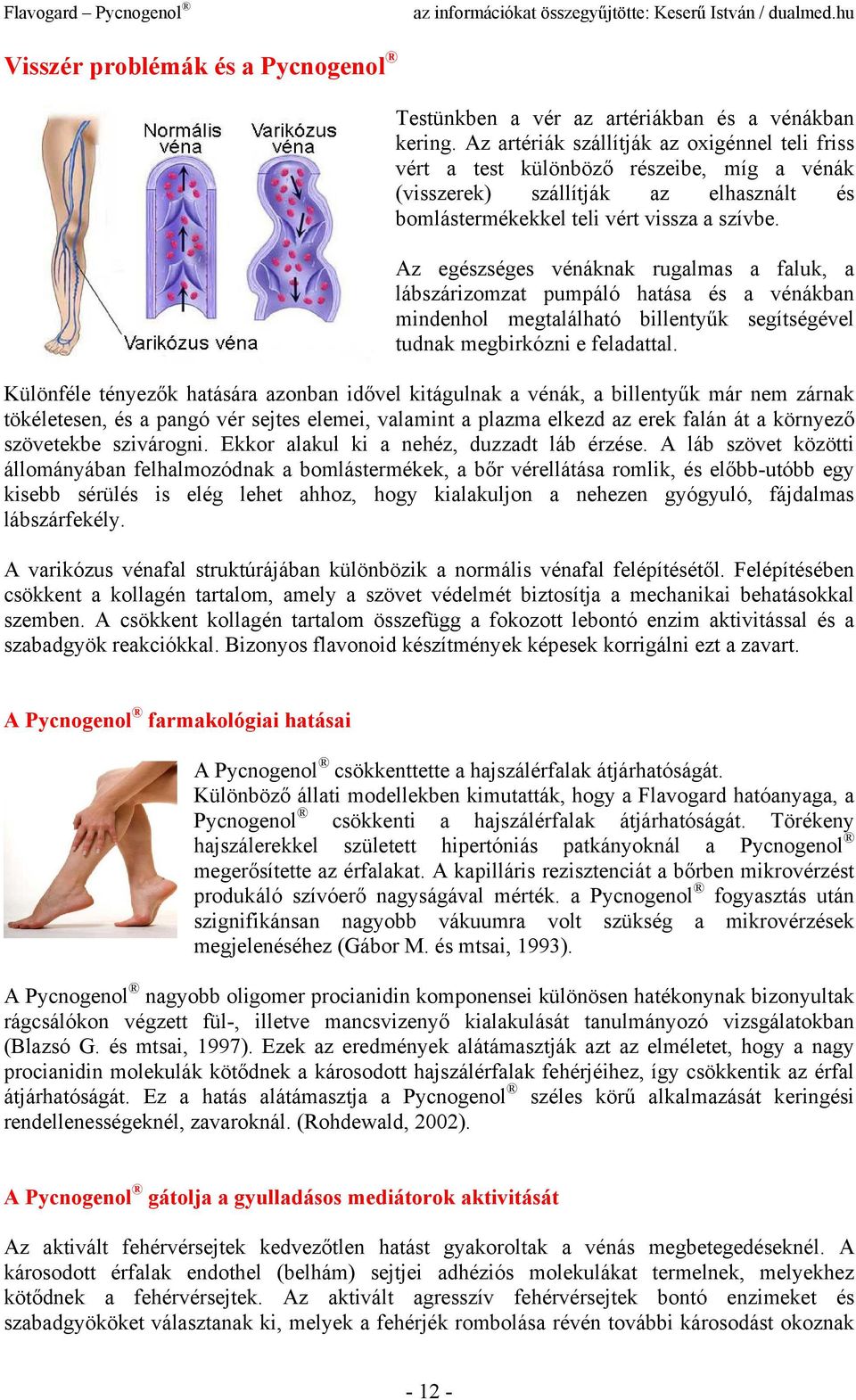 Az egészséges vénáknak rugalmas a faluk, a lábszárizomzat pumpáló hatása és a vénákban mindenhol megtalálható billentyűk segítségével tudnak megbirkózni e feladattal.