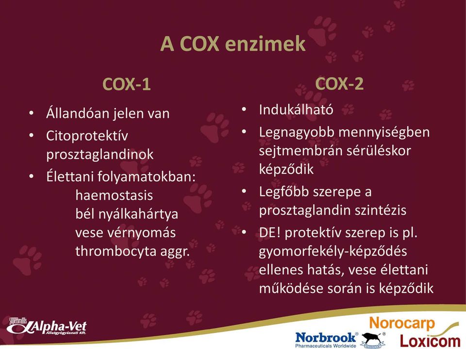 COX-2 Indukálható Legnagyobb mennyiségben sejtmembrán sérüléskor képződik Legfőbb szerepe a