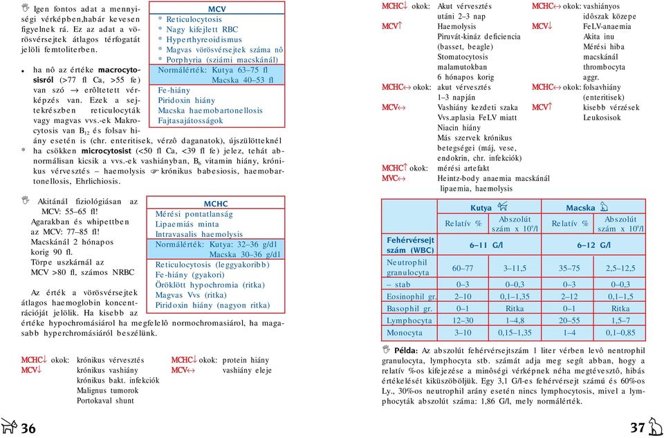 enteritisek, vérzô daganatok), újszülötteknél * ha csökken microcytosist (<50 fl Ca, <39 fl fe) jelez, tehát abnormálisan kicsik a vvs.