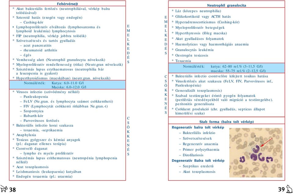 növekszik) * Myeloproliferativ rendellenesség (ritka) (Neutr.gran növekszik) * Szisztémás lupus erythaematosus (neutrophilia bár a leucopenia is gyakori) * Hyperthyroidismus (macskában) (neutr.gran. növekszik) Normálérték: Kutya: 6.