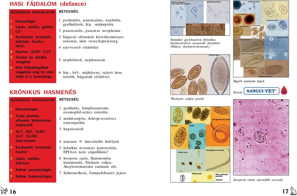 következményes uraemia, akut veseelégtelenség 4 epevezetô elzáródás 5 nephritisek, nephrosisok 6 lép-, bél-, májlebeny, rejtett here torsiók, húgyutak sérülései Sarjadzó gombaelem krónikus