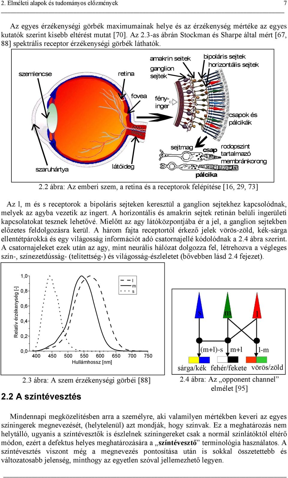 3-as ábrán Stockman és Sharpe által mért [67, 88] spektrális receptor érzékenységi görbék láthatók.