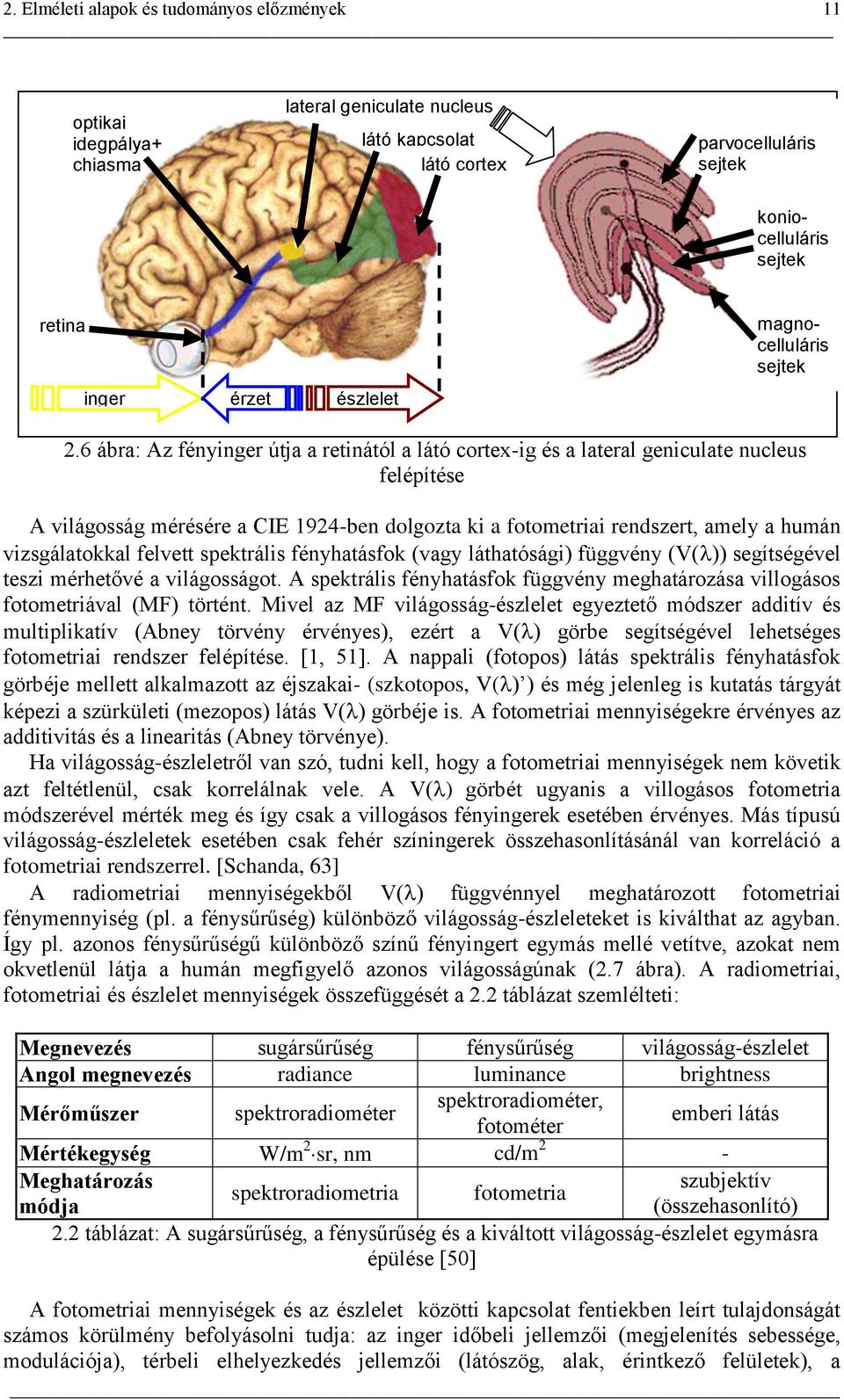 6 ábra: Az fényinger útja a retinától a látó cortex-ig és a lateral geniculate nucleus felépítése A világosság mérésére a CIE 1924-ben dolgozta ki a fotometriai rendszert, amely a humán