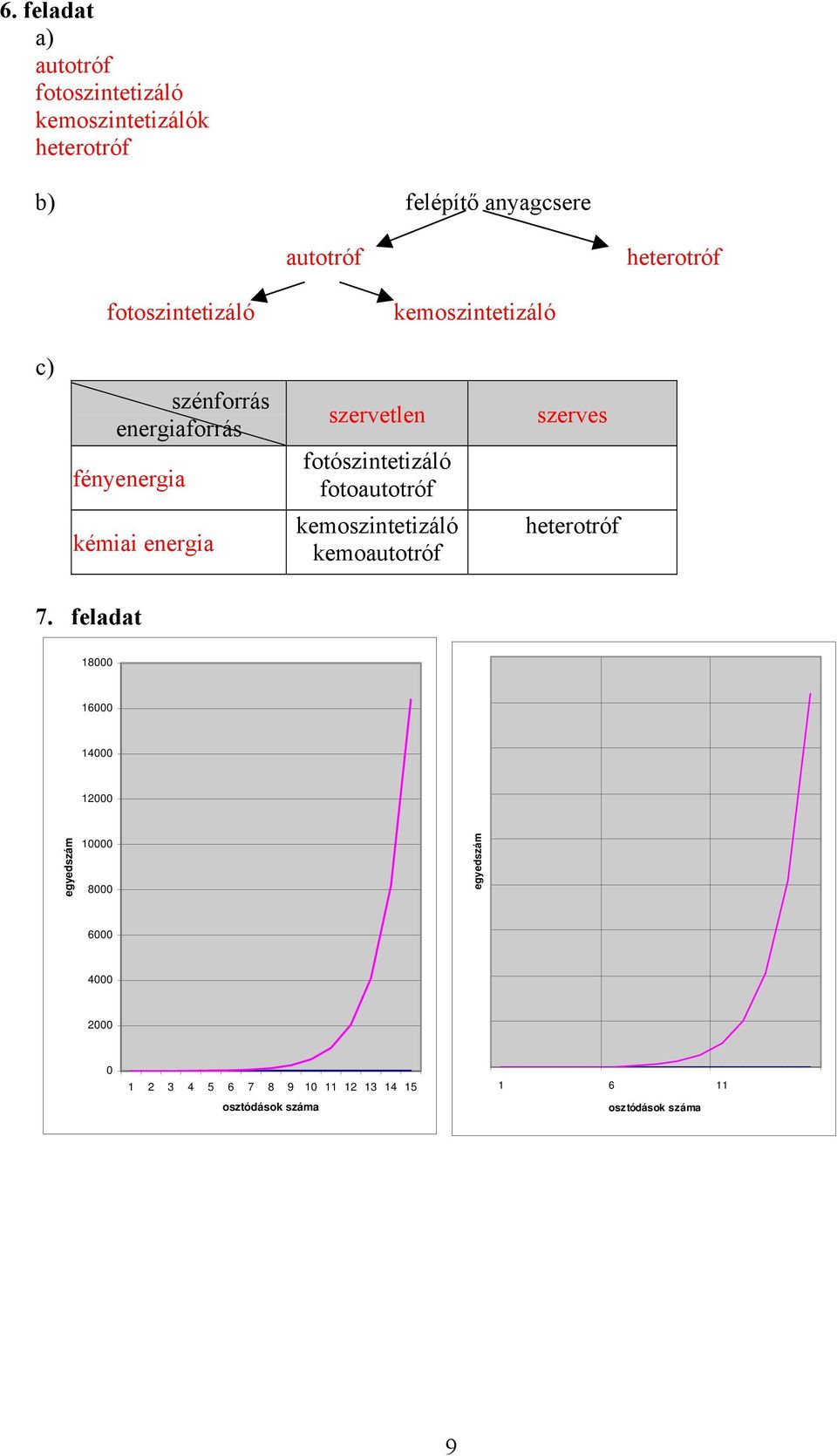 fotoautotróf szerves kémiai energia kemoszintetizáló kemoautotróf heterotróf 7.