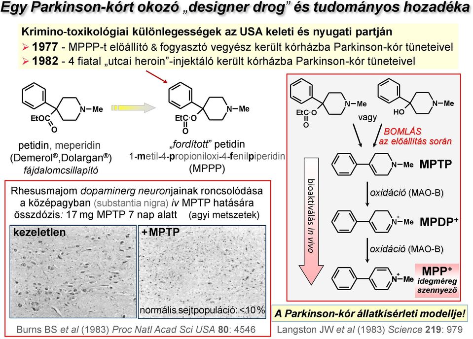 1-metil-4-propioniloxi-4-fenilpiperidin (MPPP) EtC Me vagy Me Me BMLÁS az előállítás során MPTP Rhesusmajom dopaminerg neuronjainak roncsolódása a középagyban (substantia nigra) iv MPTP hatására