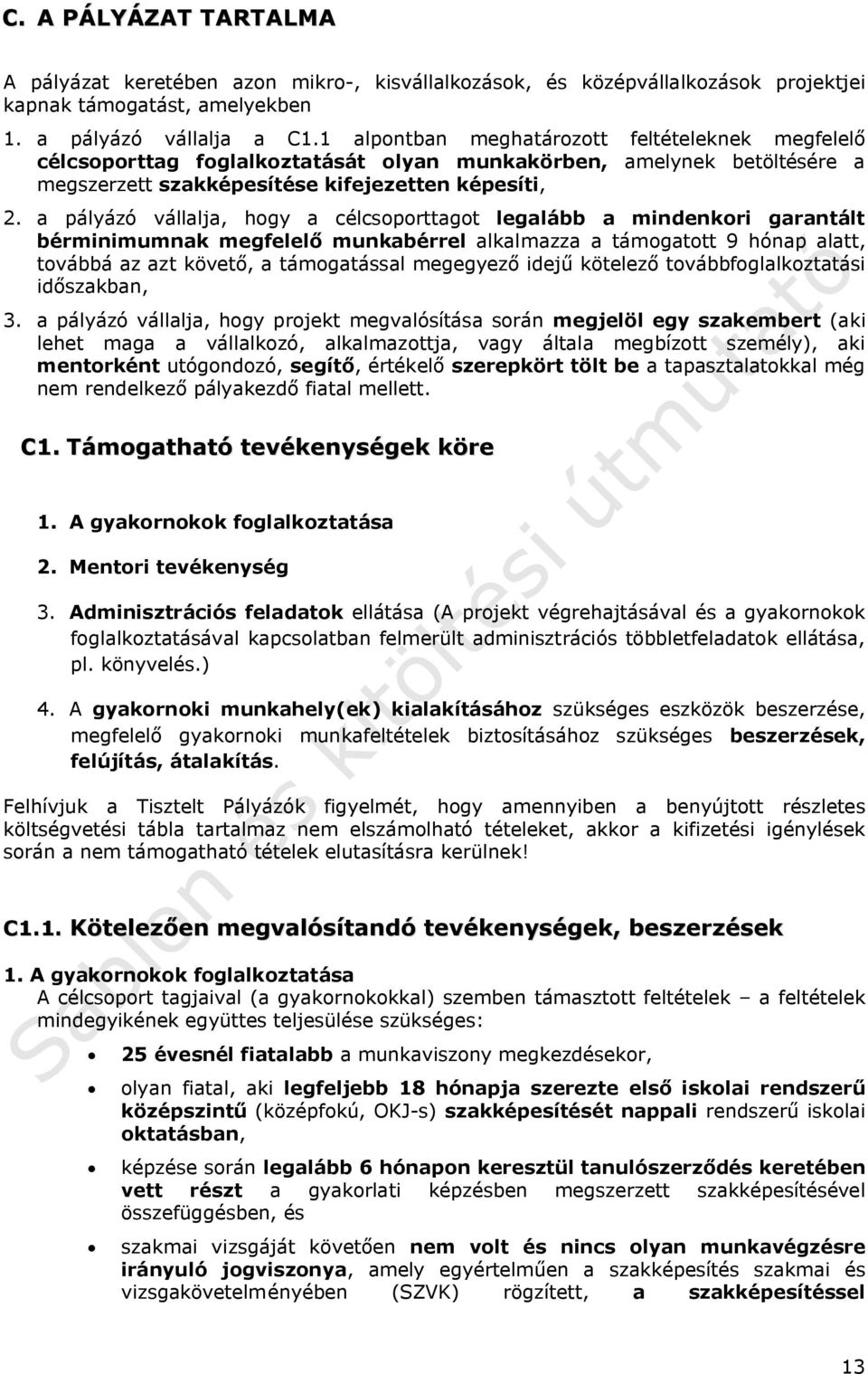 a pályázó vállalja, hogy a célcsoporttagot legalább a mindenkori garantált bérminimumnak megfelelő munkabérrel alkalmazza a támogatott 9 hónap alatt, továbbá az azt követő, a támogatással megegyező