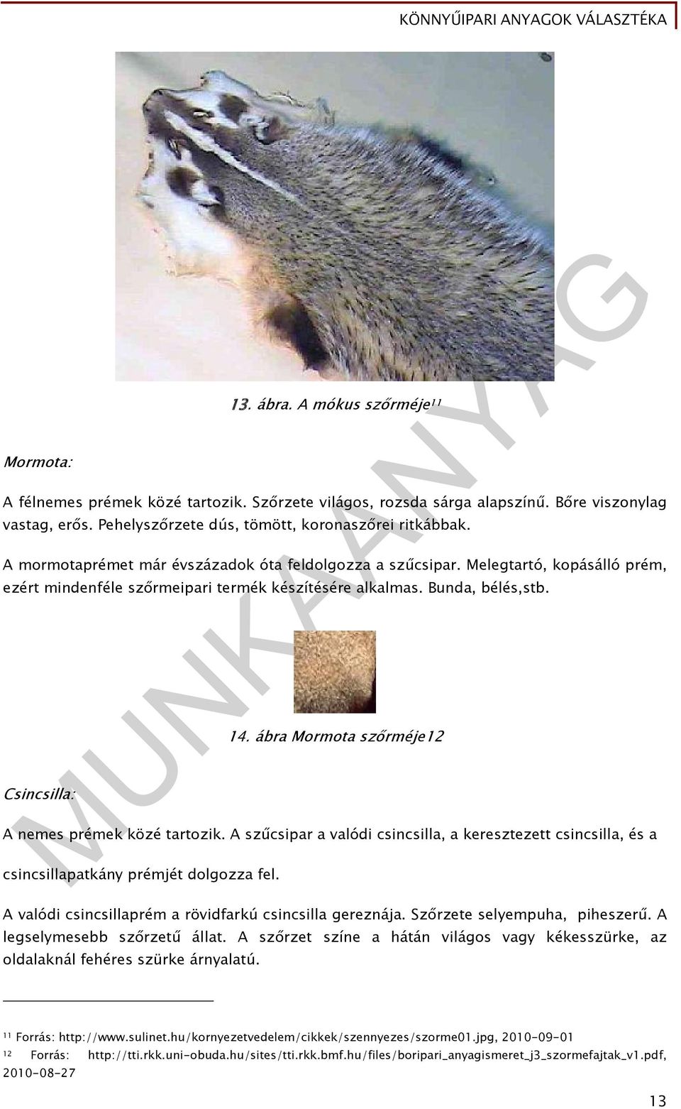 ábra Mormota szőrméje12 A nemes prémek közé tartozik. A szűcsipar a valódi csincsilla, a keresztezett csincsilla, és a csincsillapatkány prémjét dolgozza fel.