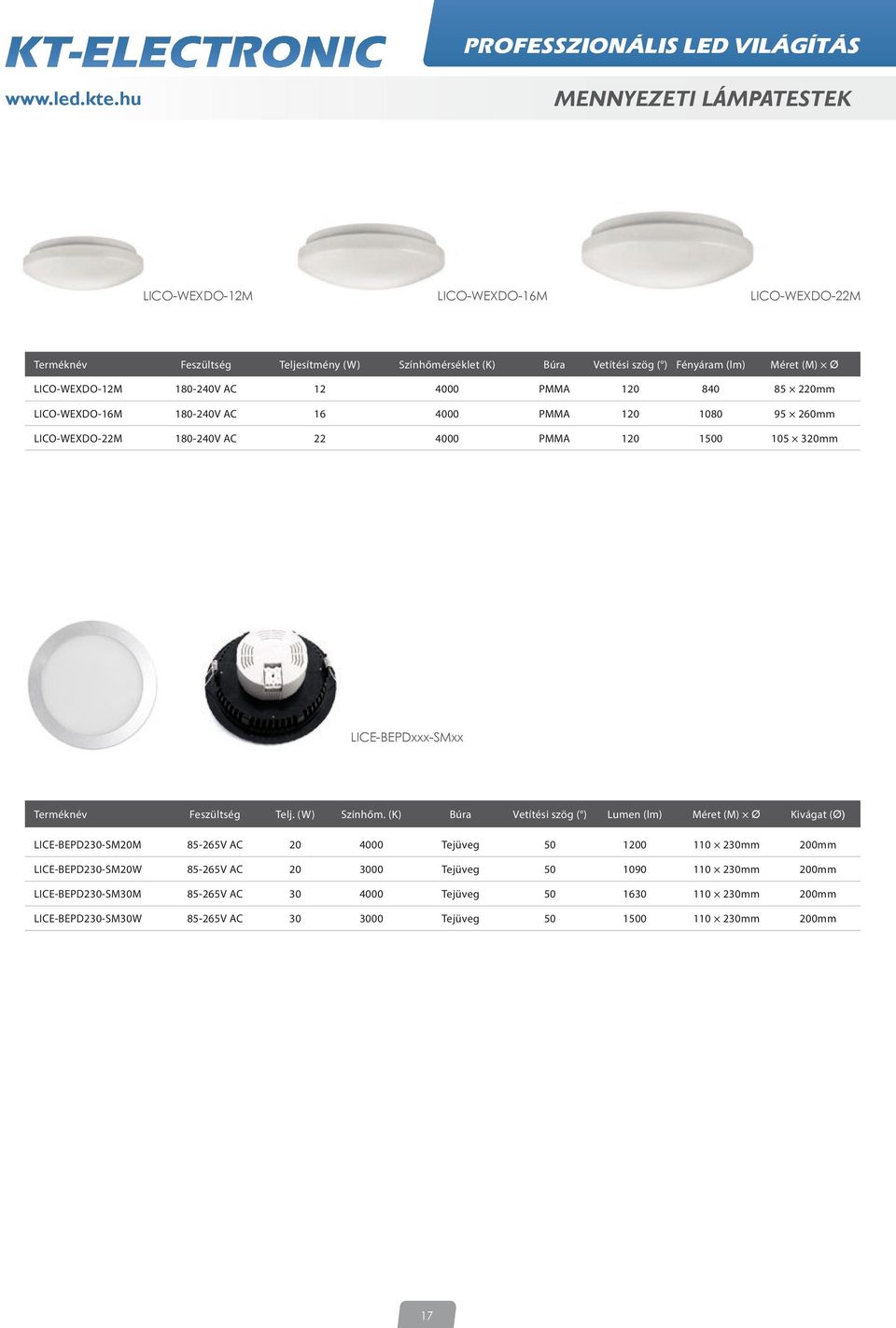 LICE-BEPDxxx-SMxx Terméknév Feszültség Telj. (W) Színhőm.