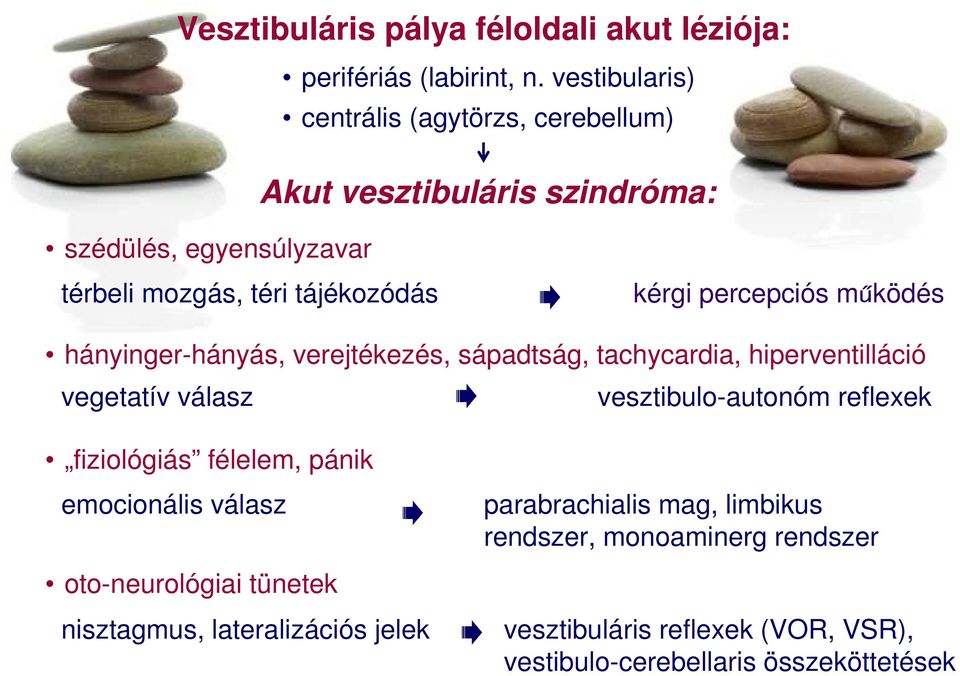 hányinger-hányás, verejtékezés, sápadtság, tachycardia, hiperventilláció vegetatív válasz vesztibulo-autonóm reflexek fiziológiás félelem, pánik