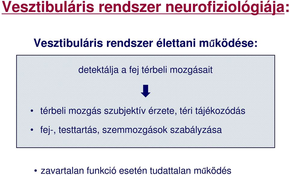 mozgás szubjektív érzete, téri tájékozódás fej-, testtartás,