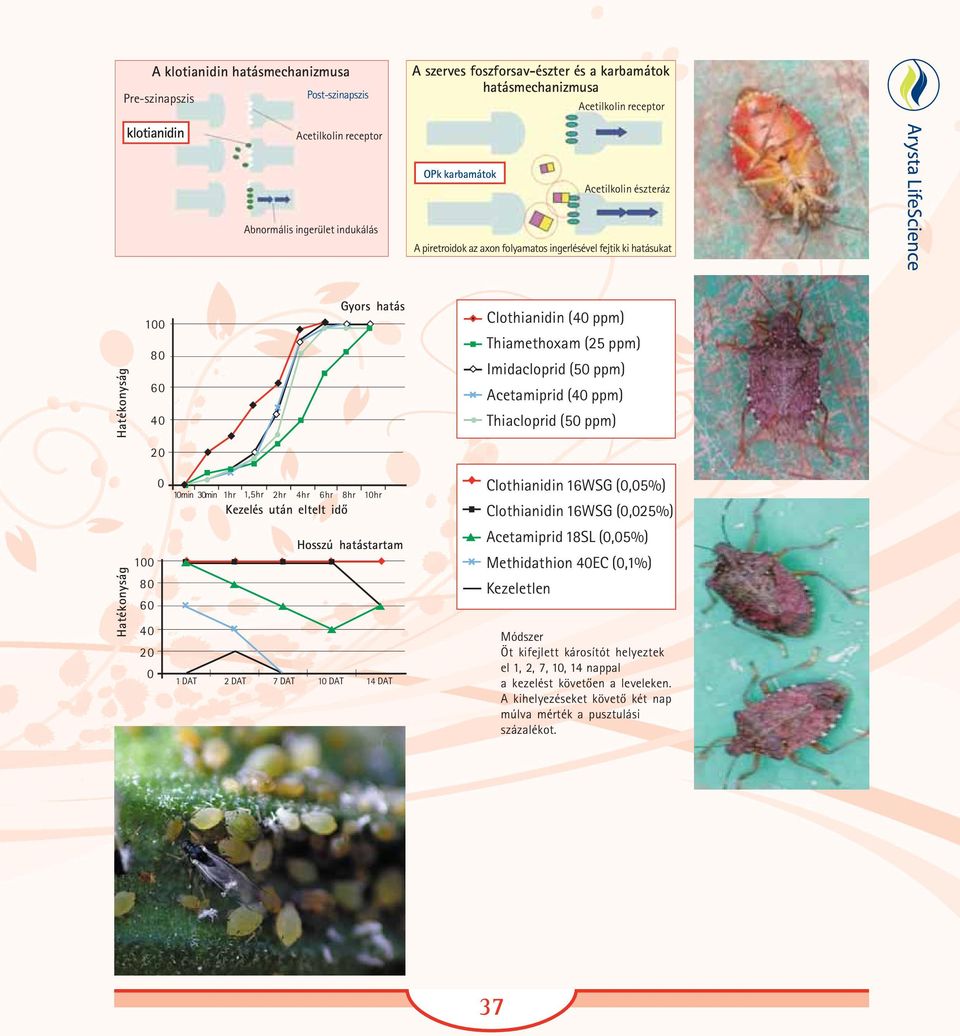Imidacloprid (50 ppm) Acetamiprid (40 ppm) Thiacloprid (50 ppm) 20 Hatékonyság 0 100 80 60 40 20 0 10min 30min 1hr 1,5hr 2hr 4hr 6hr 8hr 10hr Kezelés után eltelt idõ Hosszú hatástartam 1 DAT 2 DAT 7