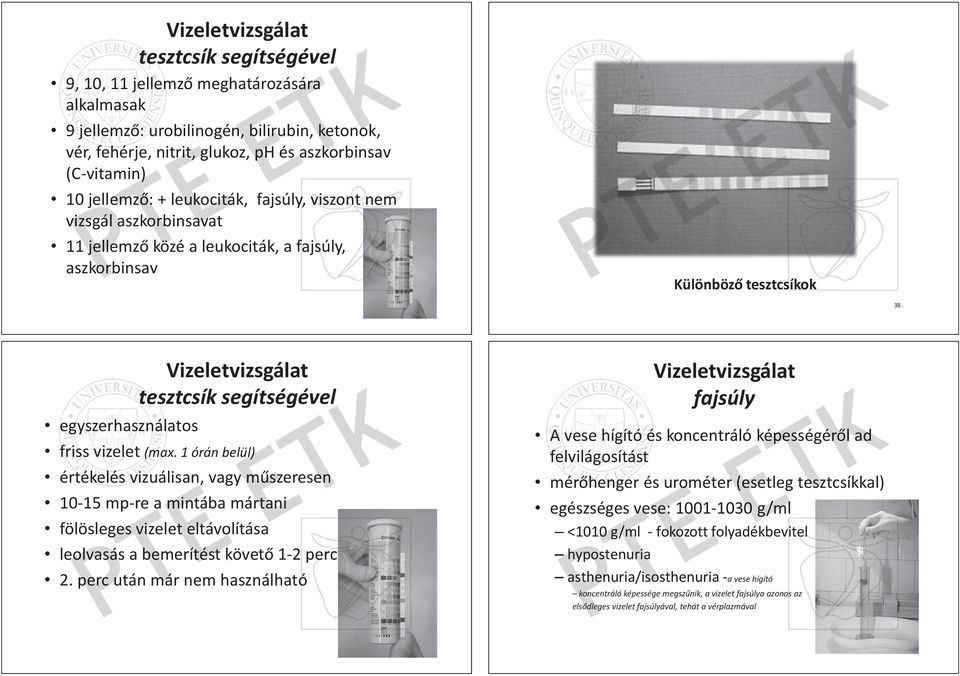 le eukocciták, fajsúly y, vviszont iszont n em vizsgál vizsgál aaszkorbinsavat szkkorbinsaavat 11 1 jellemzƅ jellemzƅ kközé özé a leukociták, a ffajsúly, ajssúly, aszkorbinsav aszkkorbinsav Különbözƅ