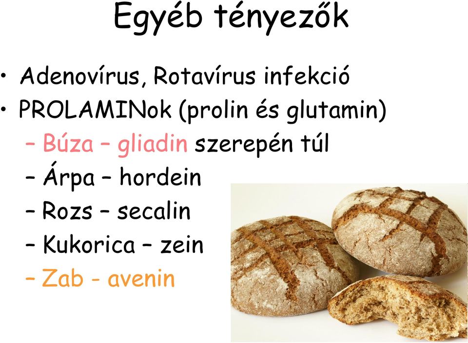 glutamin) Búza gliadin szerepén túl