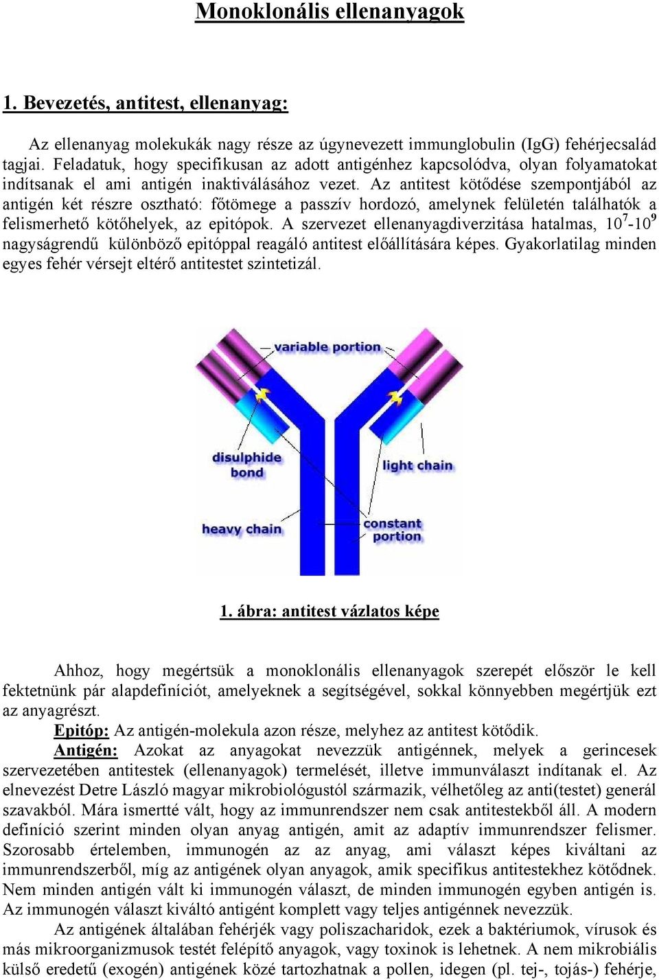 Immunrendszer II - B lymphocyták - SotePedia