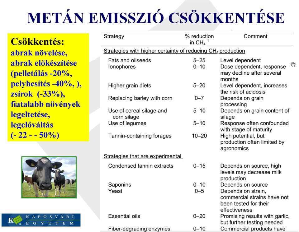 pelyhesítés -40%, ), zsírok (-33%), fiatalabb